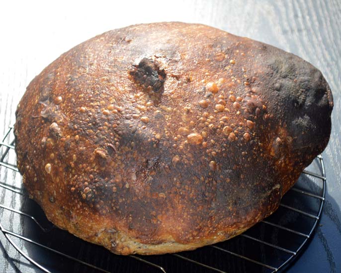 Ken Forkish's Walnut Levain bread The Fresh Loaf